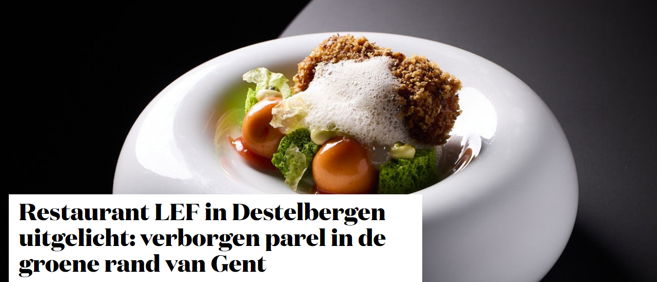 Nieuwsbericht